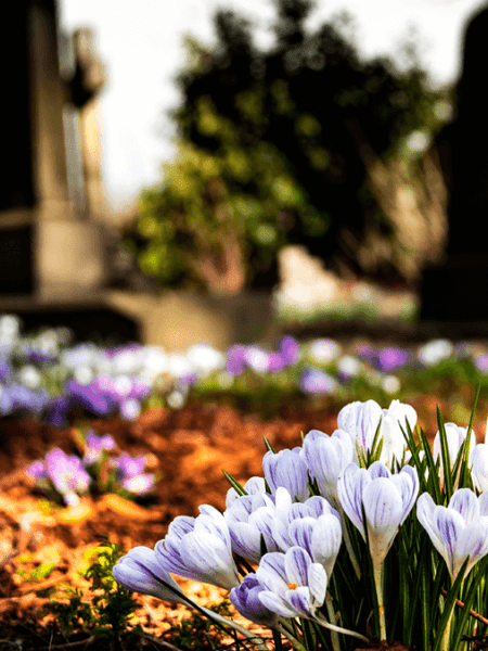 Una propuesta de ley a la&nbsp;crisis